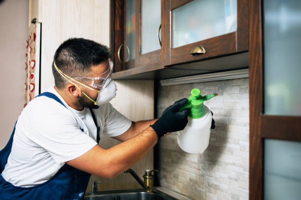  St City, AR Pest Control Pros