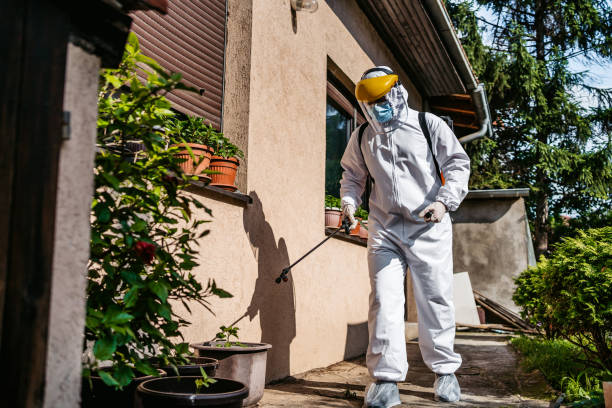 Best Cockroach Control Services  in St City, AR