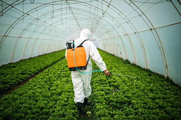 Best Pest Removal Services  in St City, AR
