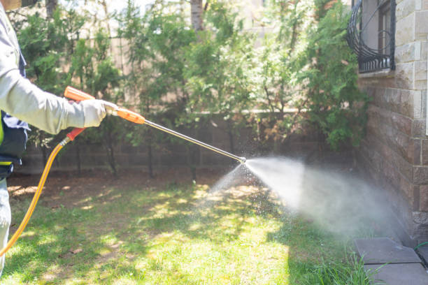 Wasp Removal Services in Star City, AR