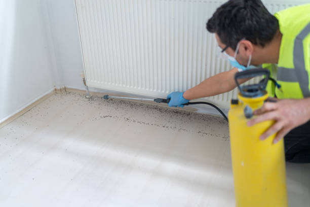 Best Pest Control for Homes  in St City, AR